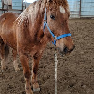 Meet your Posher, Debra